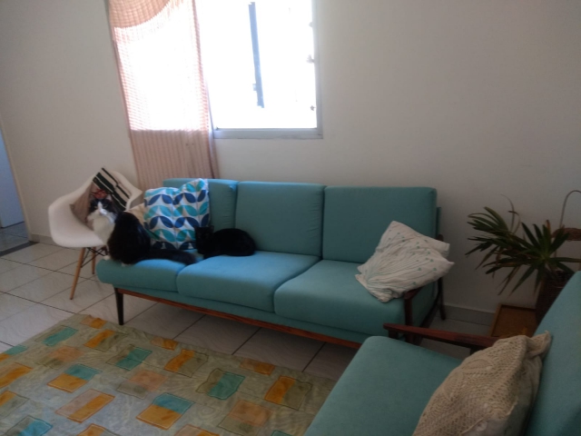 Apartamento para Venda Jardim Alvorada Santo André